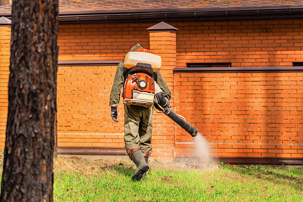 Trusted Emergency Pest Control service in Bayside Gardens, OR - Nex Pest Control
